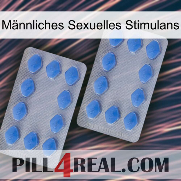 Männliches Sexuelles Stimulans 20.jpg